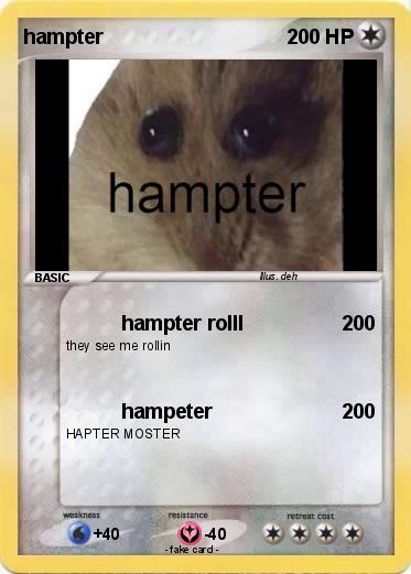 Pokemon hampter