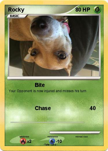 Pokemon Rocky