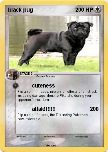 Pokemon black pug