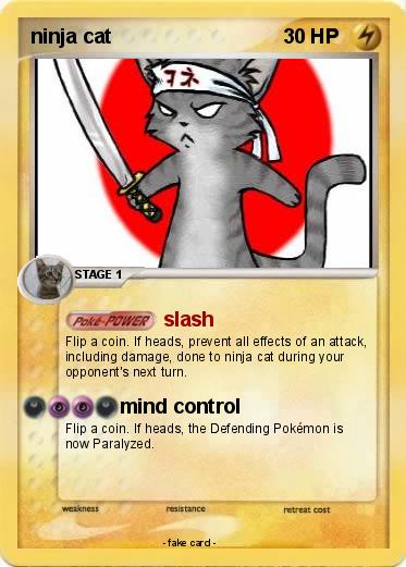Pokemon ninja cat