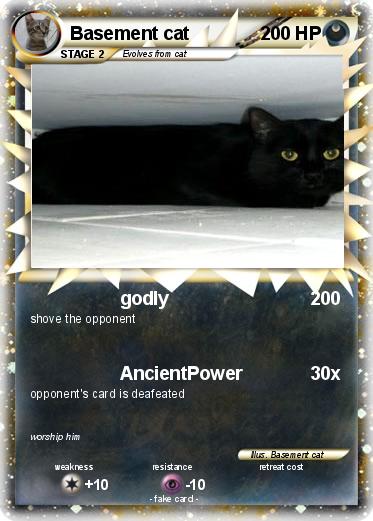 Pokemon Basement cat