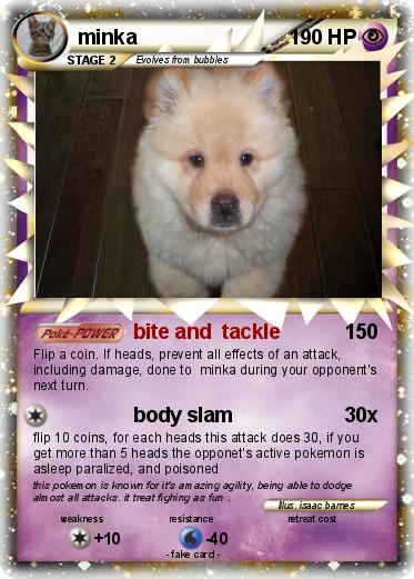 Pokemon minka
