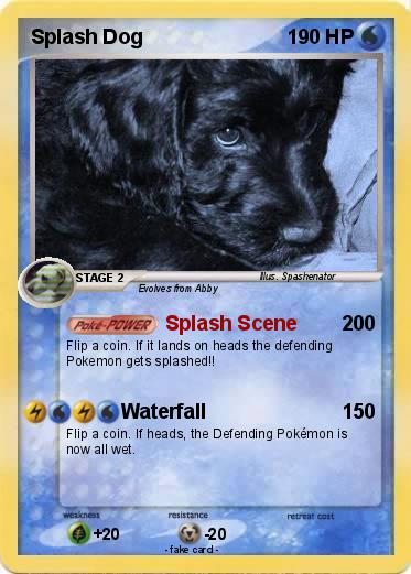 Pokemon Splash Dog