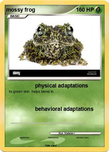 Pokemon mossy frog