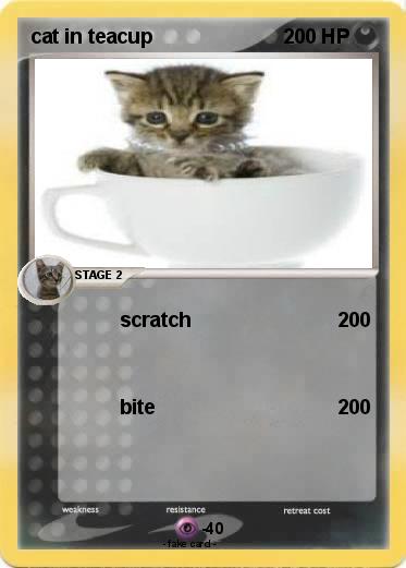 Pokemon cat in teacup