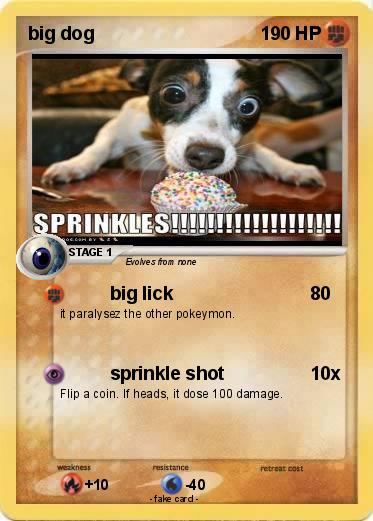 Pokemon big dog