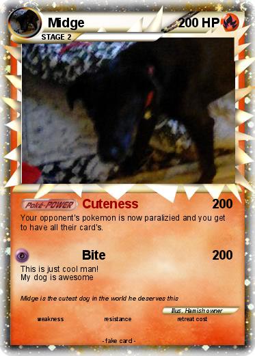 Pokemon Midge