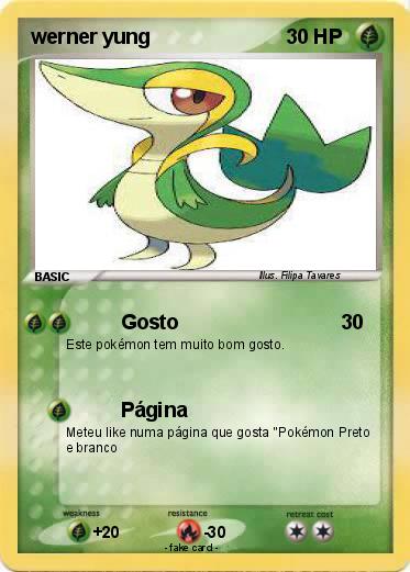 Pokemon werner yung