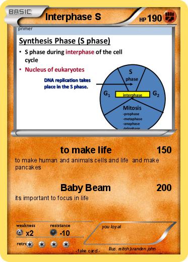 Pokemon Interphase S