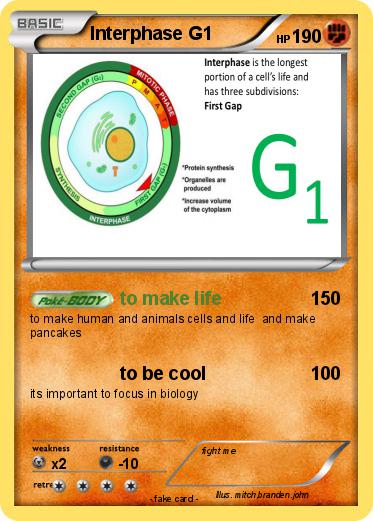 Pokemon Interphase G1
