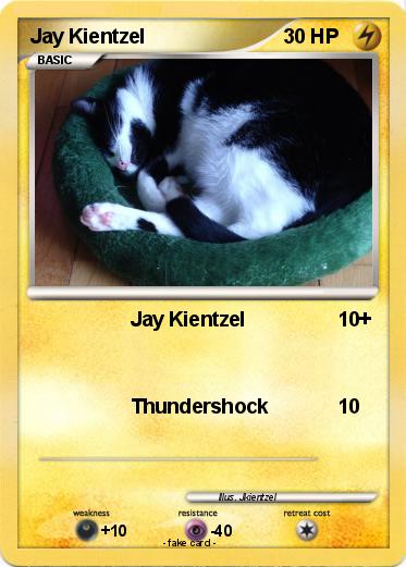 Pokemon Jay Kientzel
