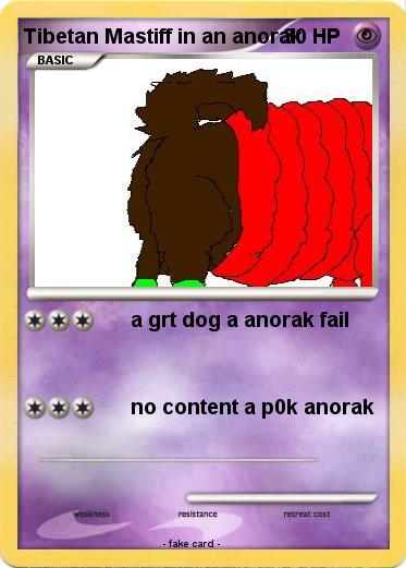Pokemon Tibetan Mastiff in an anorak