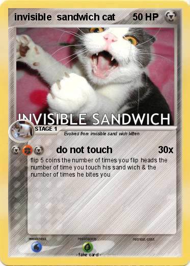 Pokemon invisible  sandwich cat