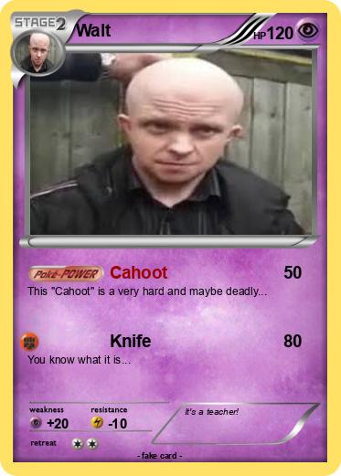 Pokemon Walt