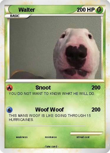 Pokemon Walter