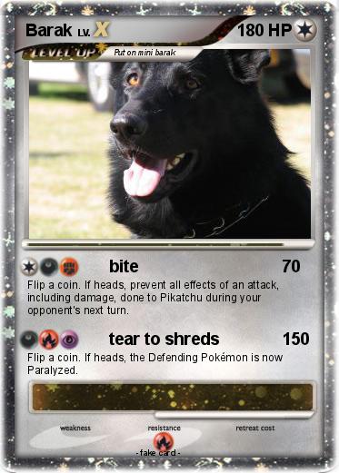 Pokemon Barak
