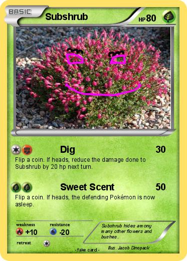 Pokemon Subshrub