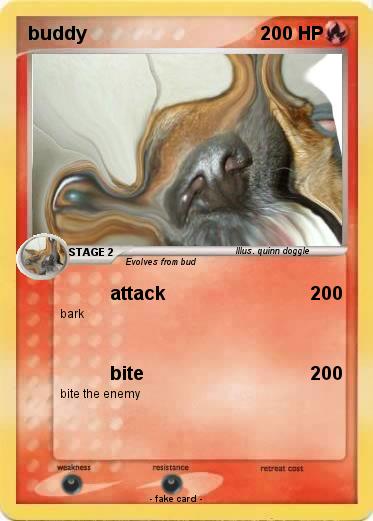 Pokemon buddy