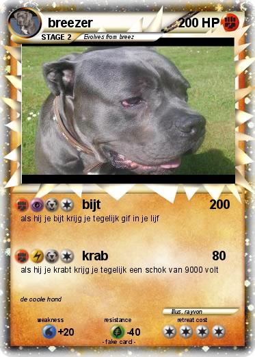 Pokemon breezer