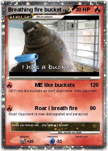 Pokemon Breathing fire bucket