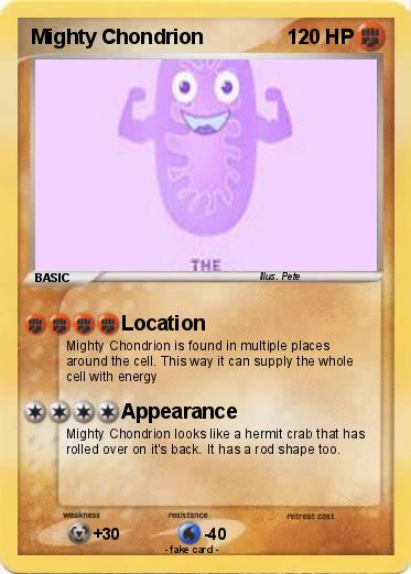 Pokemon Mighty Chondrion