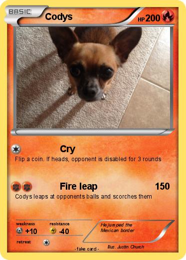 Pokemon Codys