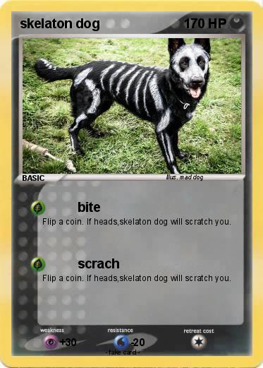 Pokemon skelaton dog