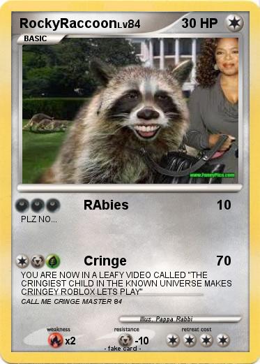 Pokemon RockyRaccoon