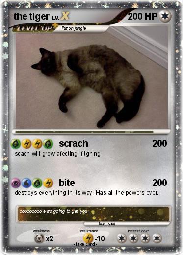 Pokemon the tiger