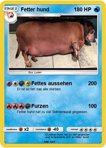 Pokemon Fetter hund