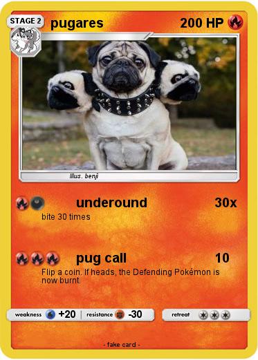 Pokemon pugares