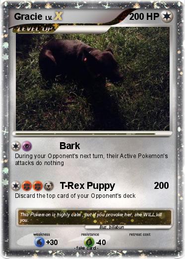 Pokemon Gracie