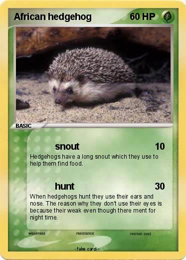 Pokemon African hedgehog