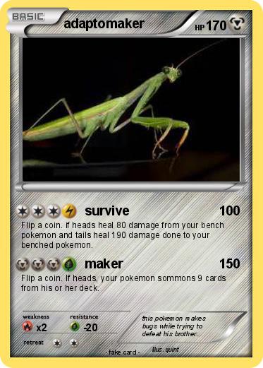 Pokemon adaptomaker