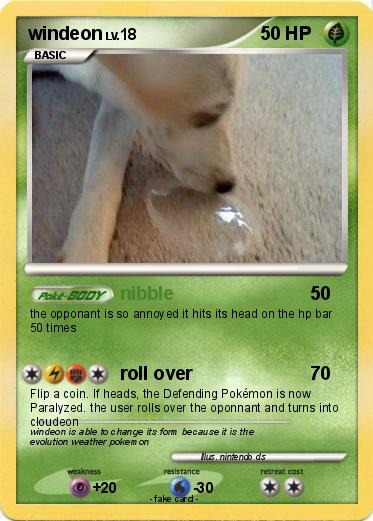 Pokemon windeon