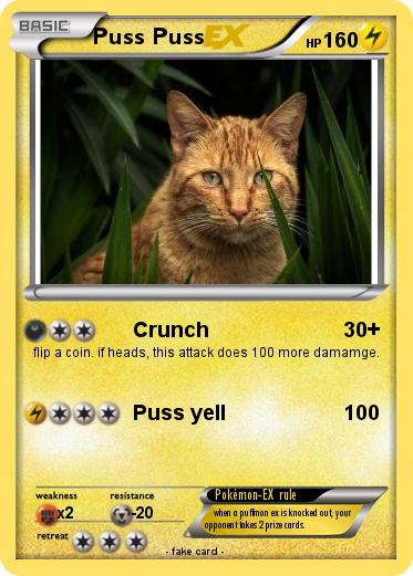 Pokemon Puss Puss
