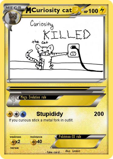 Pokemon Curiosity cat