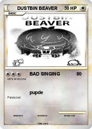 Pokemon DUSTBIN BEAVER