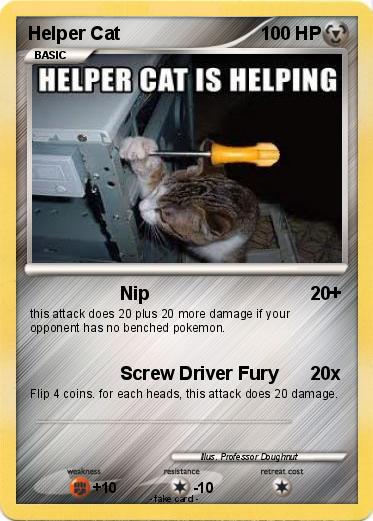 Pokemon Helper Cat