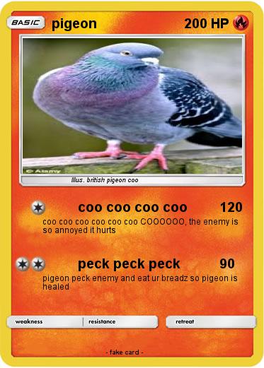 Pokemon pigeon