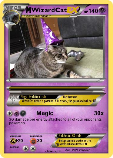 Pokemon WizardCat