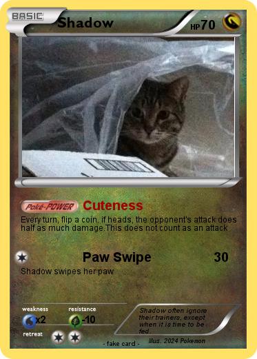 Pokemon Shadow
