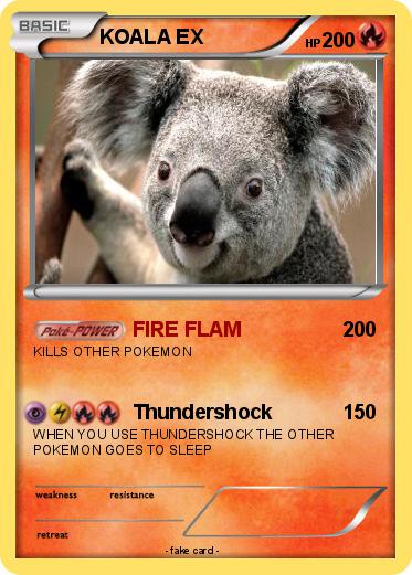Pokemon KOALA EX
