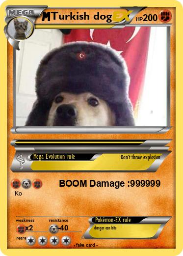 Pokemon Turkish dog