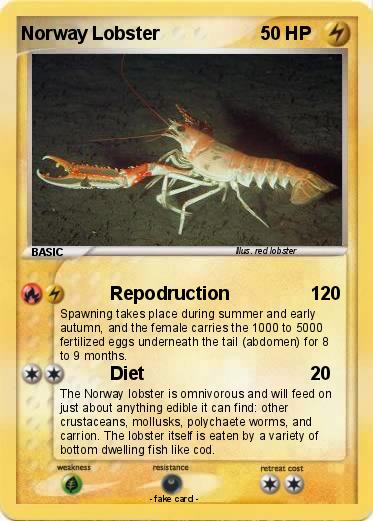 Pokemon Norway Lobster