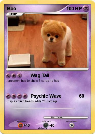 Pokemon Boo