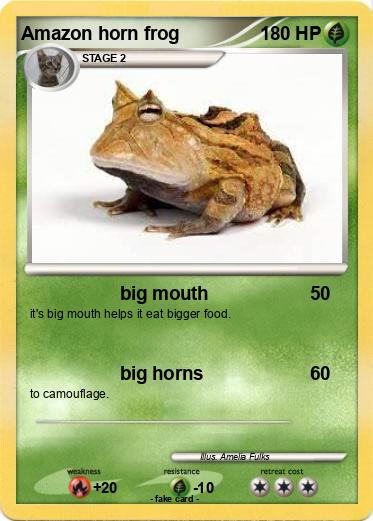 Pokemon Amazon horn frog