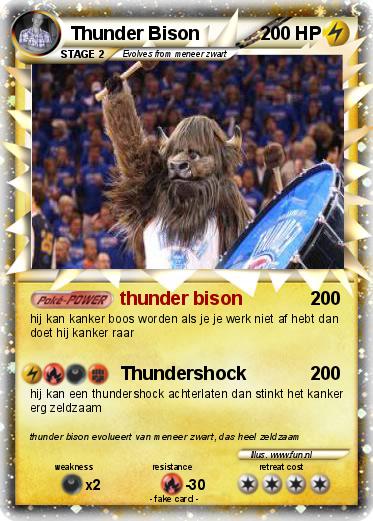 Pokemon Thunder Bison