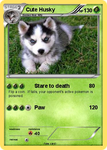 Pokemon Cute Husky