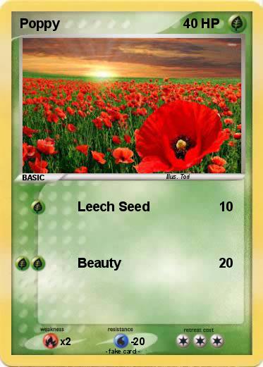 Pokemon Poppy